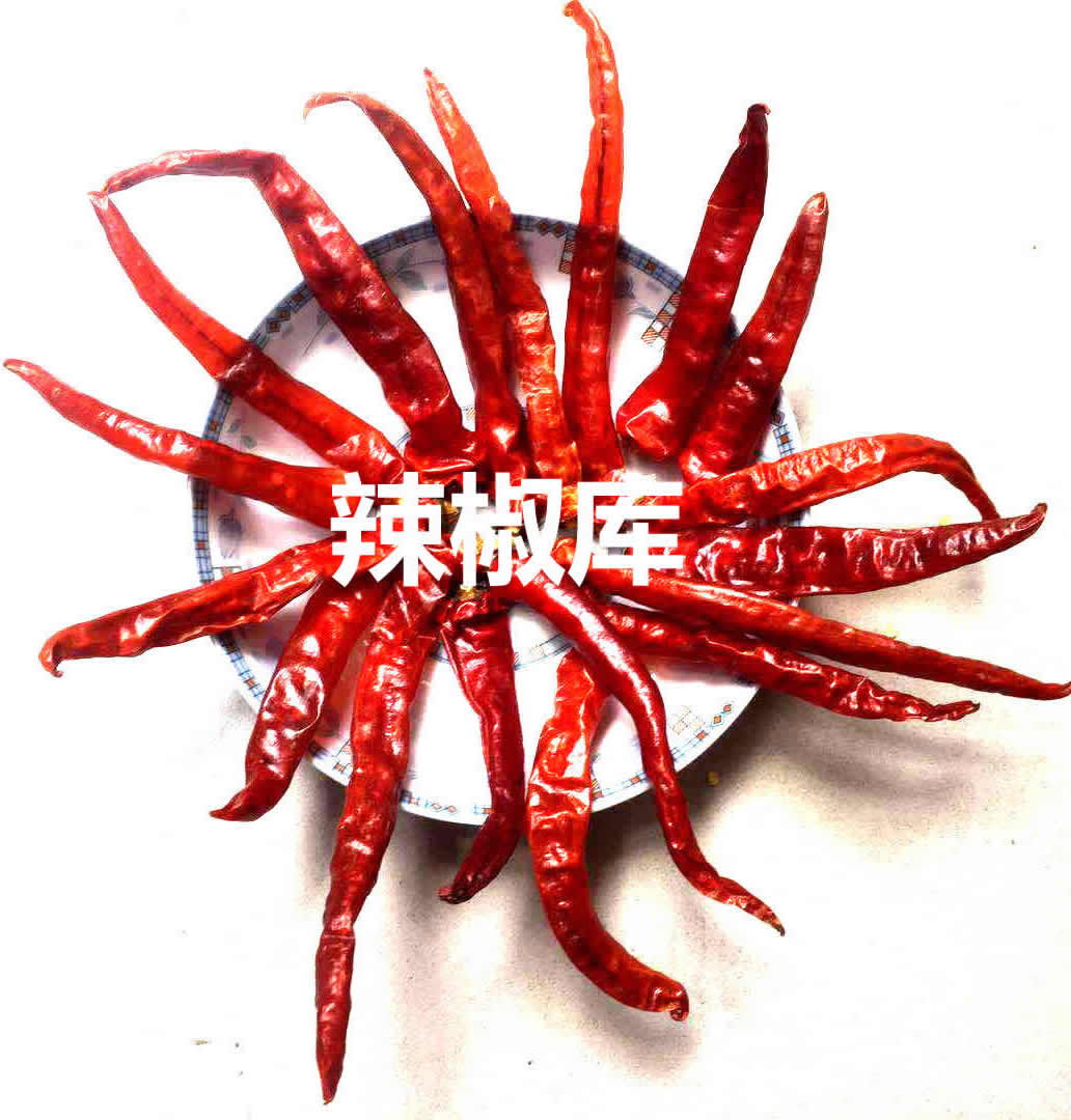 舔碗匠正宗舔碗椒